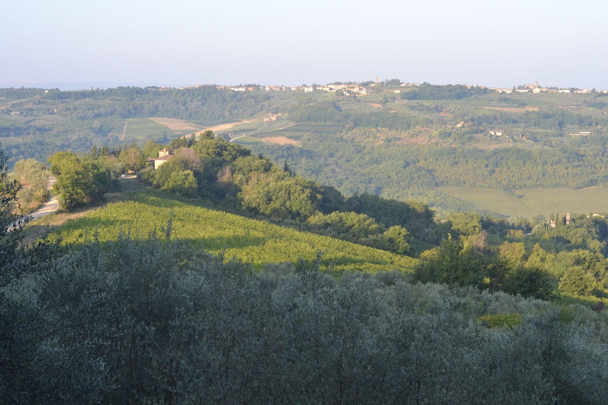 Villa Il Poggiale Dimora Storica San Casciano in Val di Pesa Eksteriør bilde